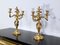 Louis XV Style Gilded Bronze Candelabras, Late 19th Century, Set of 2 3