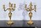 Louis XV Style Gilded Bronze Candelabras, Late 19th Century, Set of 2 14