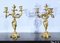 Louis XV Style Gilded Bronze Candelabras, Late 19th Century, Set of 2 13