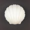 Minimalist Opaline Glass Shell-Shaped Wall Lights from Limburg, Germany, 1970s, Set of 2, Image 3