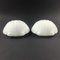 Minimalist Opaline Glass Shell-Shaped Wall Lights from Limburg, Germany, 1970s, Set of 2, Image 11