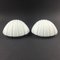 Minimalist Opaline Glass Shell-Shaped Wall Lights from Limburg, Germany, 1970s, Set of 2 10