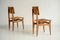 Chaises CF Vintage par Marcel Gascoin, 1950, Set de 2 8