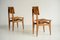 Vintage French CF Chairs by Marcel Gascoin, 1950, Set of 2, Image 8