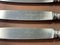 Silver Metal and Stainless Steel Knives from Paris Ravinet, Set of 12, Image 4