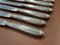 Silver Metal and Stainless Steel Knives from Paris Ravinet, Set of 12 5
