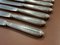 Silver Metal and Stainless Steel Knives from Paris Ravinet, Set of 12, Image 5