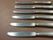 Small Silver Metal and Stainless Steel Knives from Paris Ravinet, Set of 12 5