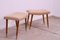 Scandinavian Stools by Blasting and Sedláček, Czechoslovakia, 1960s, Set of 2 8