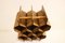 Wooden Wine Rack attributed to Torsten Johansson for AB Formtra, Denmark, 1960s 5