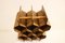 Wooden Wine Rack attributed to Torsten Johansson for AB Formtra, Denmark, 1960s, Image 5