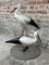 Vintage Sheet Metal Storks, 1950s, Image 1