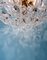 Plafón floral de cristal de Murano, años 70, Imagen 10