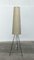 Lámpara de pie Cocoon minimalista Mid-Century, años 60, Imagen 1