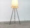 Lámpara de pie Cocoon minimalista Mid-Century, años 60, Imagen 3