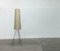 Mid-Century Minimalist Tripod Cocoon Floor Lamp, 1960s 2