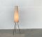 Lámpara de pie Cocoon minimalista Mid-Century, años 60, Imagen 2