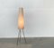 Mid-Century Minimalist Tripod Cocoon Floor Lamp, 1960s 2