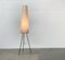 Lampada da terra Mid-Century minimalista con treppiede, anni '60, Immagine 20