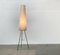 Mid-Century Minimalist Tripod Cocoon Floor Lamp, 1960s 20