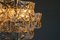 Lámpara de araña Mid-Century de cristal de Kinkeldey, Alemania, años 60, Imagen 11