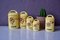 Bohemian French Spice Jars in Yellow Faience, Set of 5 2