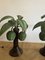 Palm Tree Table Lamps attributed to Mario Torres Lopez, Set of 2 3