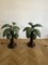 Palm Tree Table Lamps attributed to Mario Torres Lopez, Set of 2 2