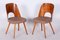 Mid-Century Stühle aus Buche, 1950er, 6 . Set 6