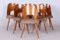 Mid-Century Chairs in Beech, 1950s, Set of 6 9