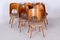 Mid-Century Chairs in Beech, 1950s, Set of 6, Image 8