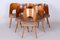 Mid-Century Chairs in Beech, 1950s, Set of 6 1