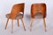 Mid-Century Chairs in Beech, 1950s, Set of 6 4