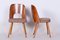 Mid-Century Chairs in Beech, 1950s, Set of 6, Image 5