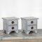 Antique Grey Chests, 1800s, Set of 2 1