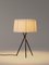 Natural Trípode M3 Table Lamp by Santa & Cole 3