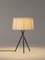Natural Trípode M3 Table Lamp by Santa & Cole, Image 3