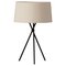 Natural Trípode M3 Table Lamp by Santa & Cole 1