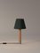 Nickel and Green Básica M1 Table Lamp by Santiago Roqueta for Santa & Cole 2