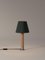 Nickel and Green Básica M1 Table Lamp by Santiago Roqueta for Santa & Cole 2