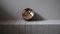 Vassoio per dischi in bronzo di Arno Declercq, Immagine 6