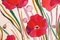 Romina Milano, Red Poppy Flower Diptychon, 2023, Acryl auf Papier 6