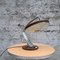 Table Lamp by Raptek Milano, 1950s 1