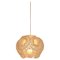 Anemone Pendant Lamp by Mirei Monticelli 1
