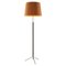 Mustard and Chrome Pie de Salón G1 Floor Lamp by Jaume Sans 1