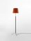 Terracotta and Chrome Pie De Salón G3 Floor Lamp by Jaume Sans 2