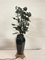 Bouquet Flower Lampe, 1900er 10