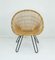 Mid-Century Armchair in Bamboo Wicker with Hairpin Legs, 1960s 1