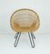 Mid-Century Armchair in Bamboo Wicker with Hairpin Legs, 1960s, Image 1