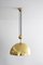 Solan Pendant Light Counterweight Lamp Brass Rar by Florian Schulz, 1970s 3